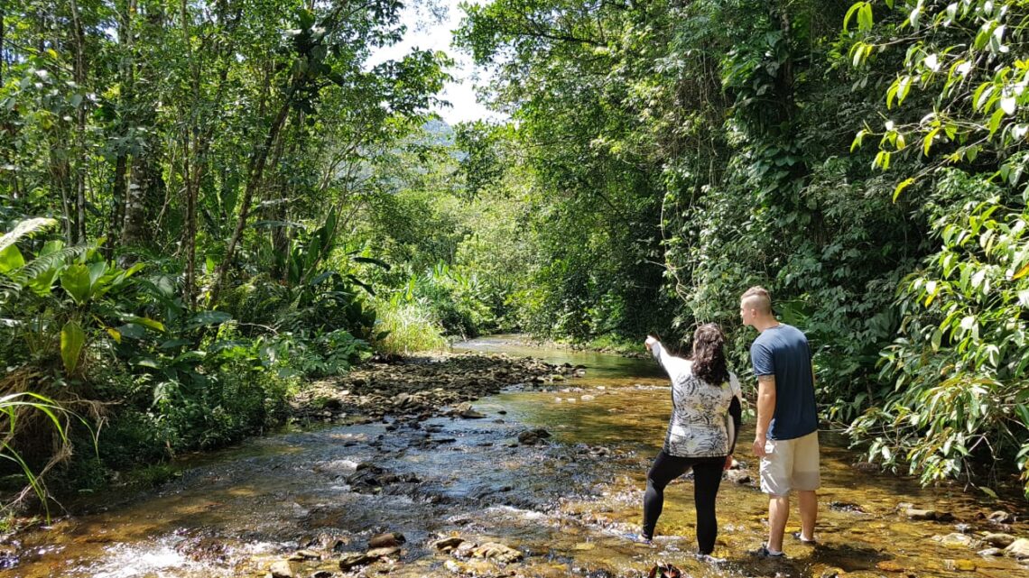 Fortalecimento do turismo em áreas naturais é tema de evento on-line e gratuito