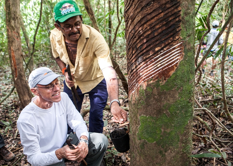 Projeto Borracha Nativa – Mercur alia responsabilidade ambiental e conhecimentos tradicionais da Amazônia