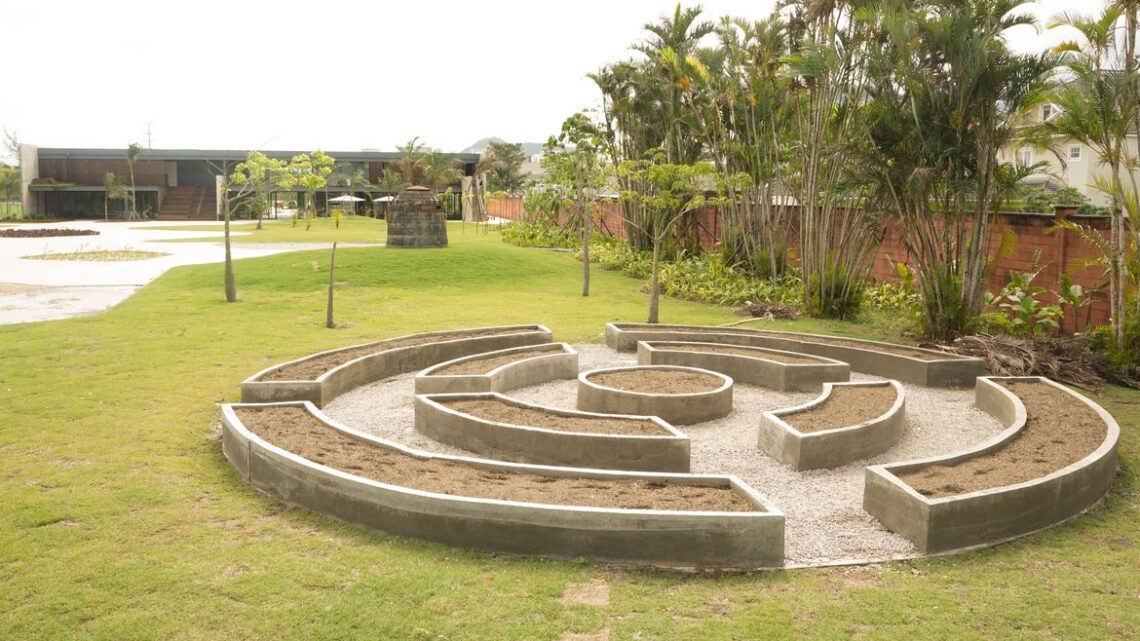 No Rio, Museu do Pontal inaugura neste domingo horta/jardim sensorial