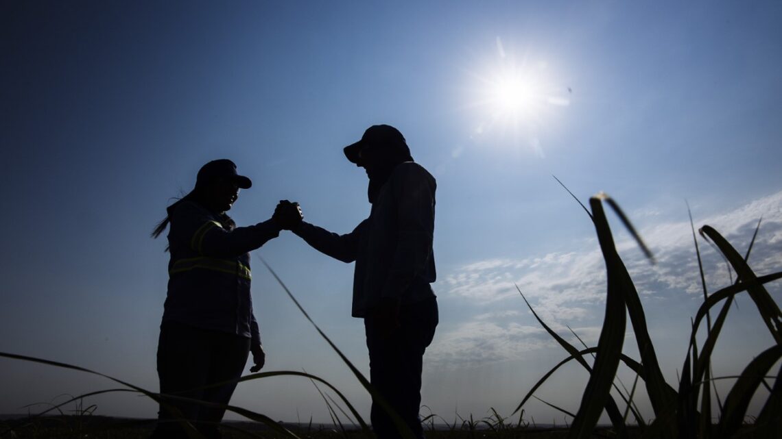 Atvos apoia o protagonismo feminino no agronegócio