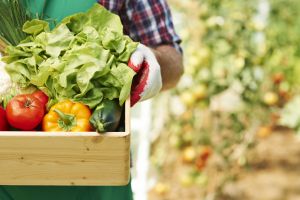 A importância da agricultura familiar para o agronegócio