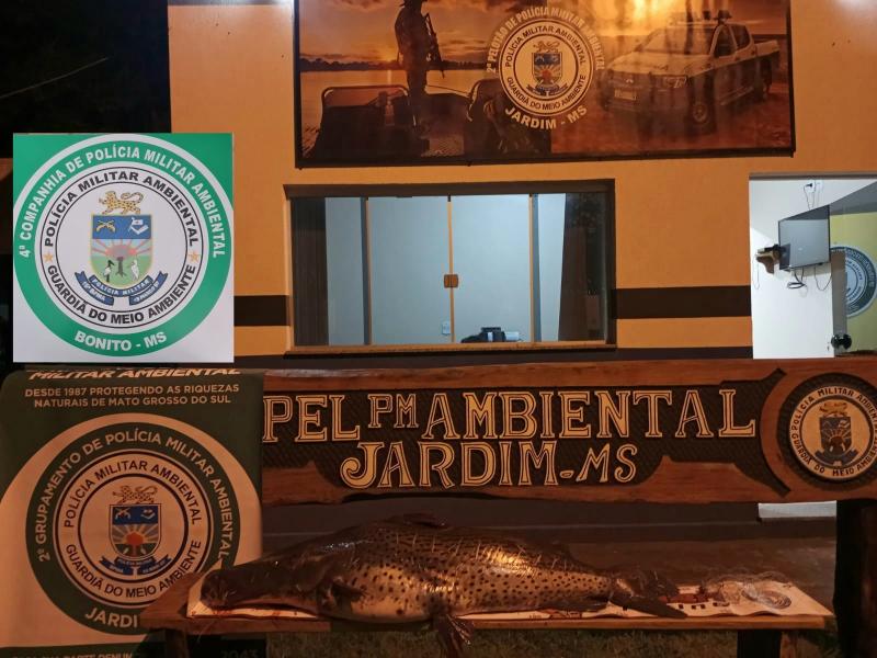 PMA de Jardim e Bonito prendem e autuam infrator em R$ 1,6 mil por pescar por método ilegal e capturar pescado acima da medida permitida e apreende um peixe de 44 kg