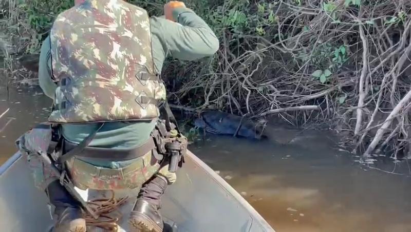 Polícia Militar Ambiental de Mundo Novo resgata sucuri de 5 metros enroscada em galhos devido ao aumento do corpo depois de ingestão de presa