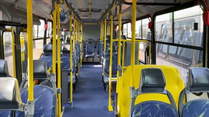 Transporte coletivo público volta circular no dia 06 de dezembro em TL