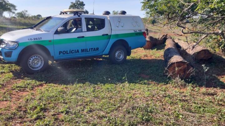 Polícia Militar Ambiental de Cassilândia autua infrator em R$ 21 mil por exploração de madeira em área de floresta protegida de reserva legal e apreende 40 m³ de toras, trator e motosserra