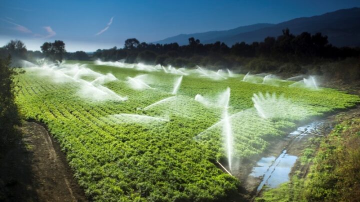 Longa estiagem requer da agricultura melhor distribuição de água