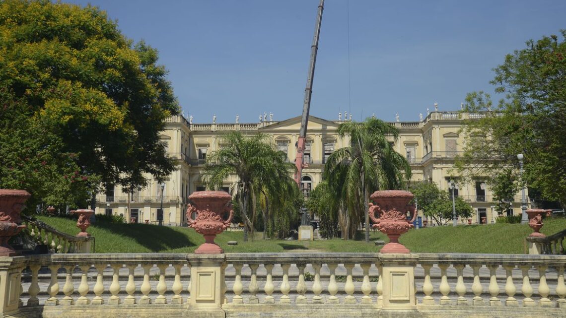 Museu Nacional recebe doação de moluscos do Museu de Coimbra