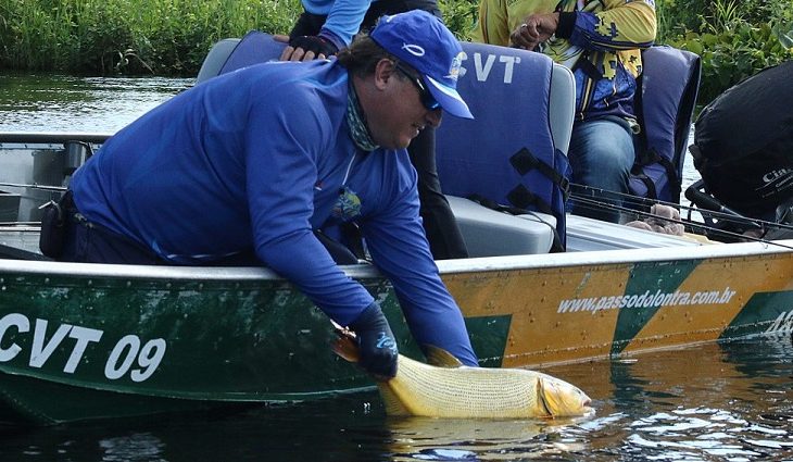 PMA Alerta: Pesque e solte está liberado somente nas calhas dos rios Paraguai e Paraná