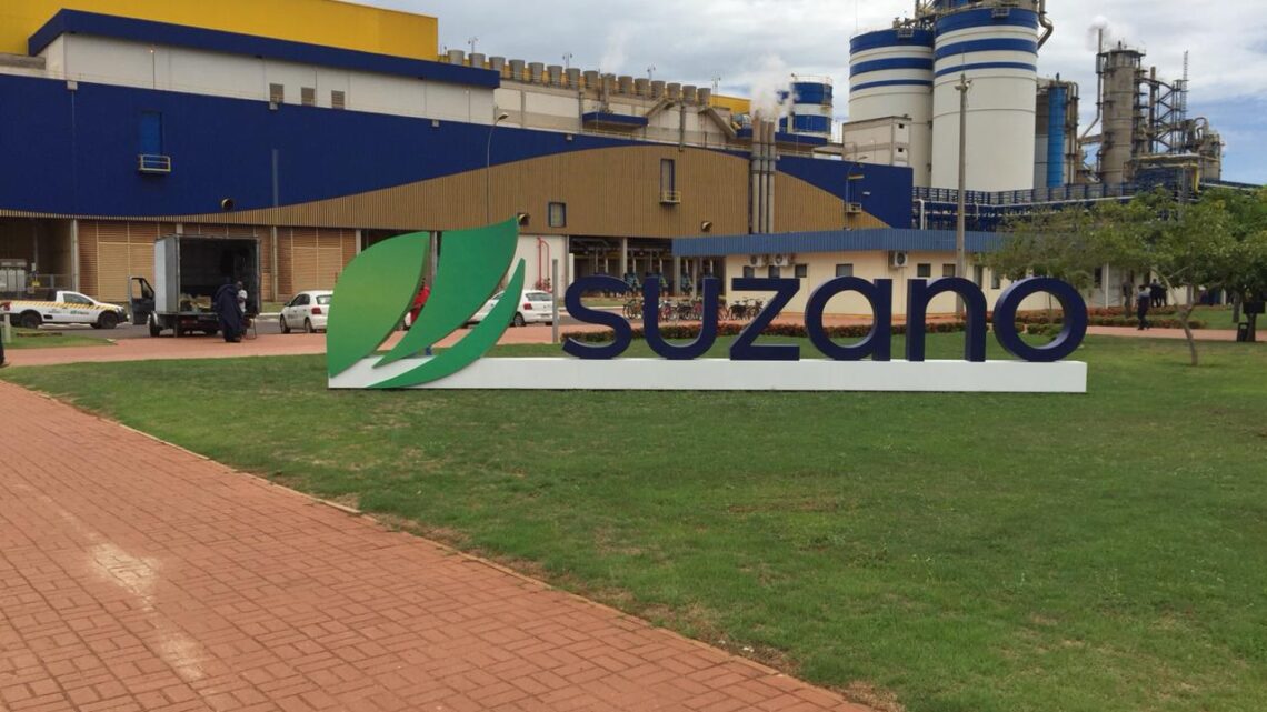 Suzano abre mais três processos seletivos em Ribas do Rio Pardo (MS)