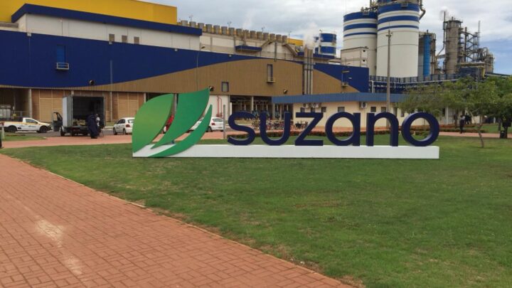 Suzano está contratando Analista de Meio Ambiente e Engenheiro/a de Produção em Três Lagoas (MS)