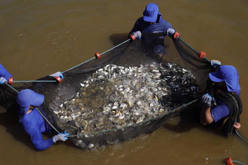 Dia Mundial da Água: ações da CTG Brasil contribuem com a preservação da biodiversidade dos rios