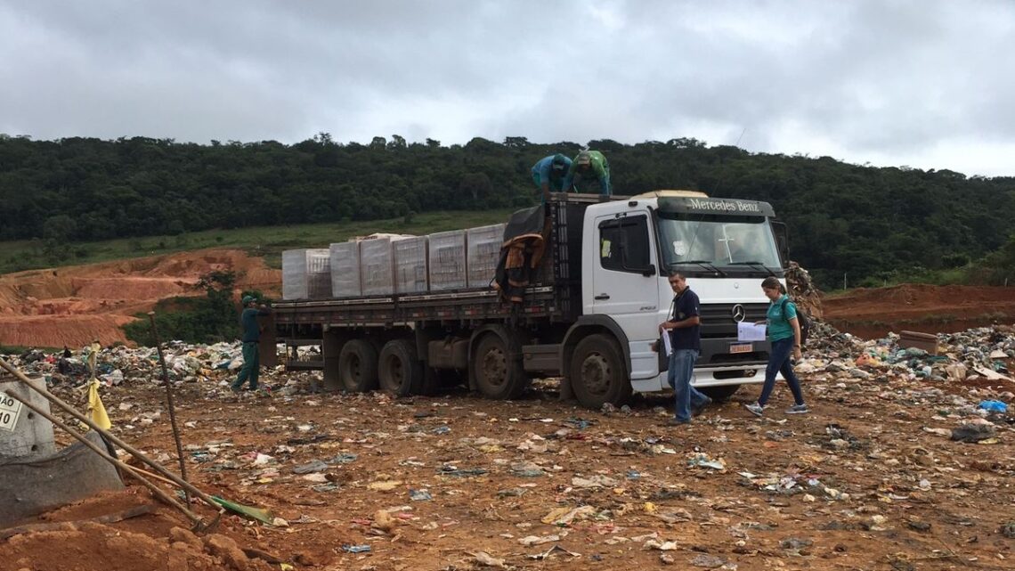 Mais de 60 mil litros de bebidas fraudadas de maçã são descartadas em Minas Gerais