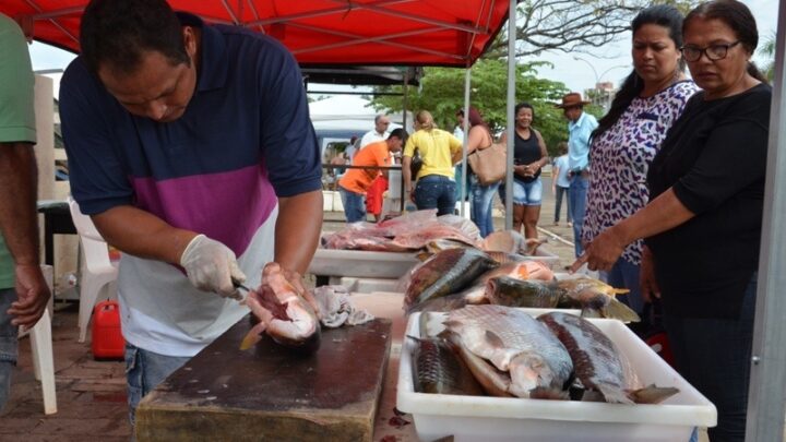 Inscrições para 7ª Feira do Peixe começam segunda-feira (04)