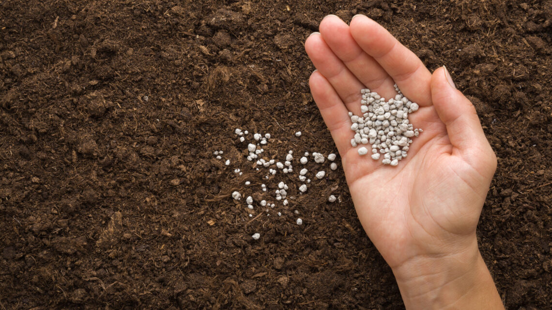 Agricultor tem momento favorável para compra de fertilizantes