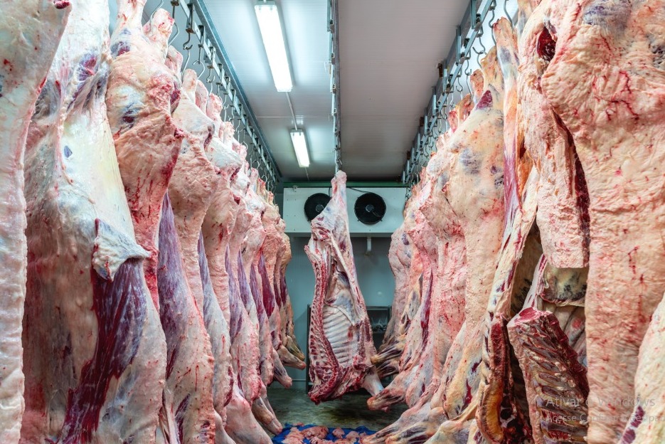 Exportações de carne bovina do Brasil devem superar média global em 2023