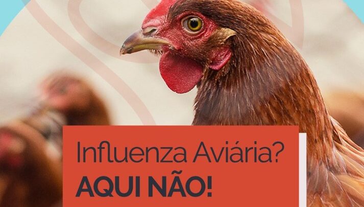 Campanha sobre Influenza Aviária visa alertar população para ajudar o Brasil a continuar livre da doença
