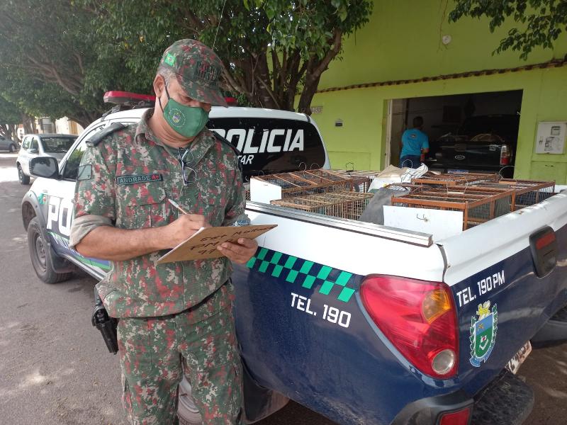 Polícia Militar Ambiental de Campo Grande autua em R$ 1,5 mil mulher que matou filhote de gato da vizinha a tijoladas