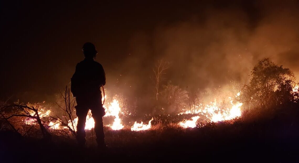 Primeiro trimestre registra 12,6% de aumento nas notícias de incêndios estruturais