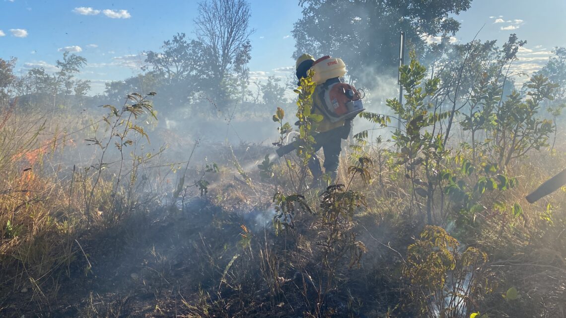 Com a chegada da seca, entidades reforçam importância de proteger o Cerrado contra incêndios