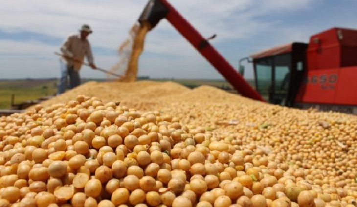 Valor da produção agrícola do MS será recorde em 2023: R$ 55,78 bilhões