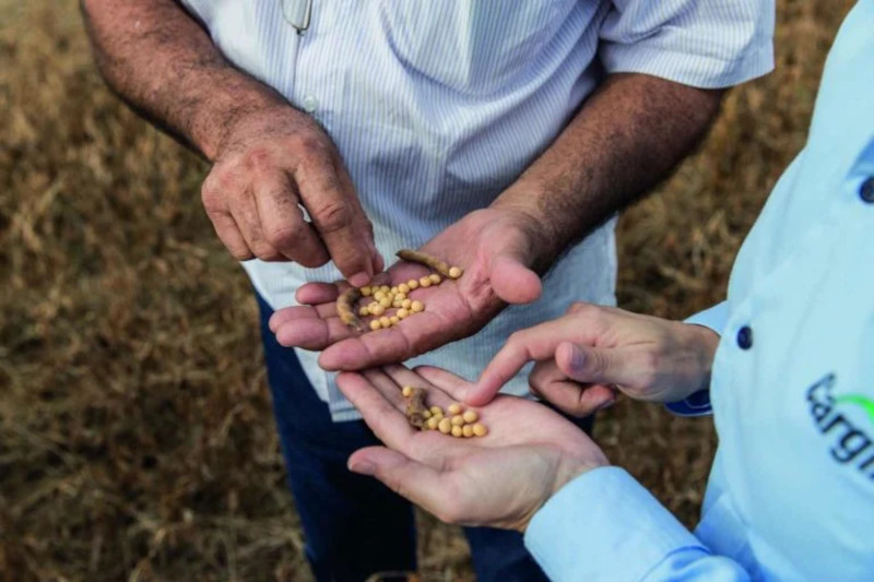 Novo programa da Cargill oferece capacitação para sucessores do agronegócio