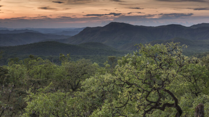 Especialistas comentam causas e consequências do aumento do desmatamento no Cerrado