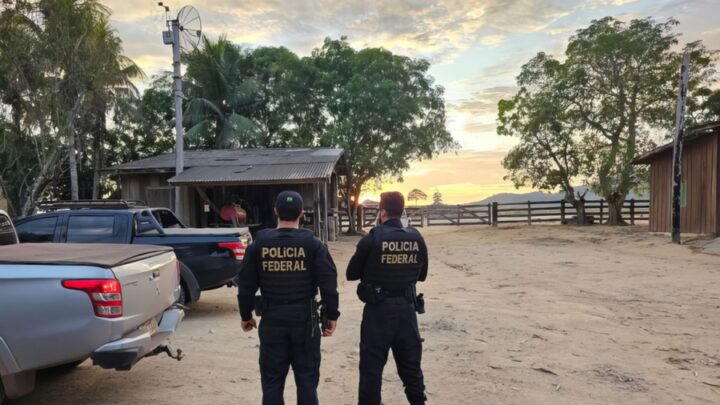 Polícia Federal combate desmatamento para criação de gado na floresta amazônica