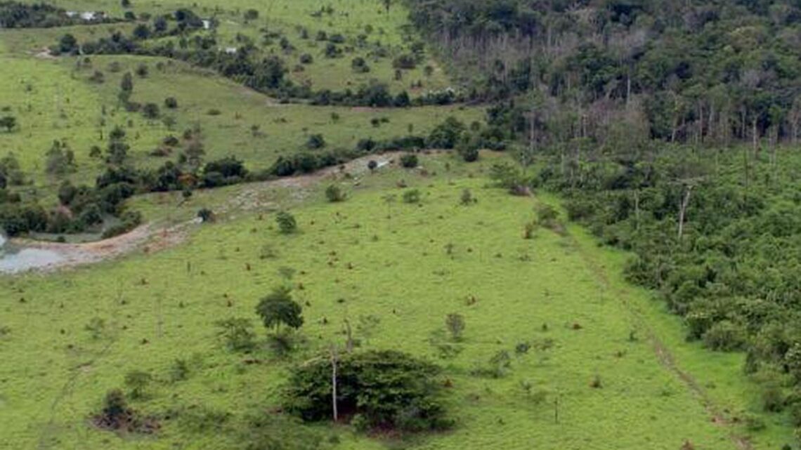 Aberto o prazo para entrega da Declaração do Imposto Territorial Rural