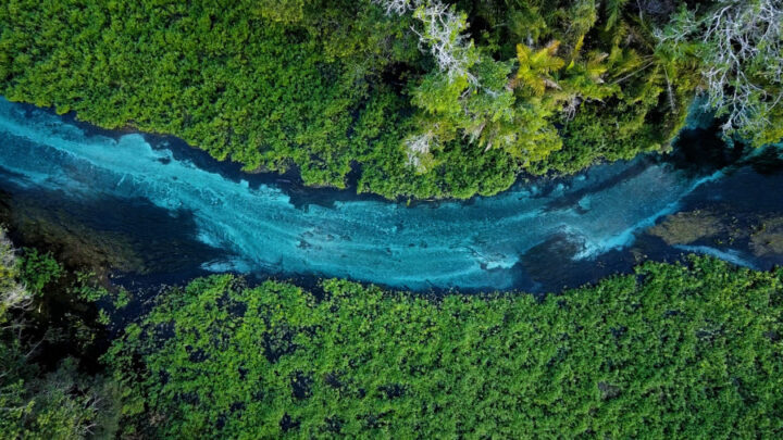 Nova série documental “Mato Grosso do Sul: Expoente do Ecoturismo para o Mundo” revela potencial do turismo ecológico no estado