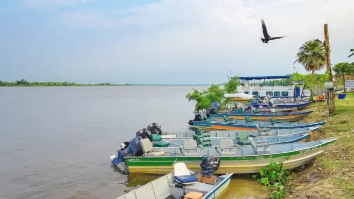 Sebrae e Embratur realizam workshop para impulsionar turismo no Pantanal