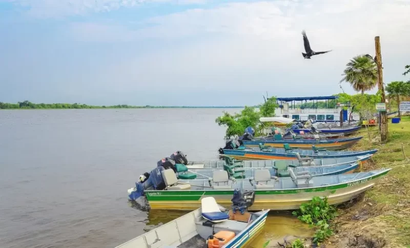 Sebrae e Embratur realizam workshop para impulsionar turismo no Pantanal