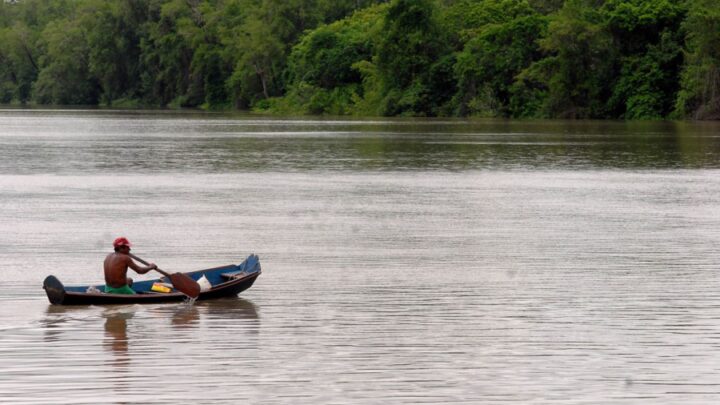 Amazônia Legal terá recursos para projetos de bioeconomia