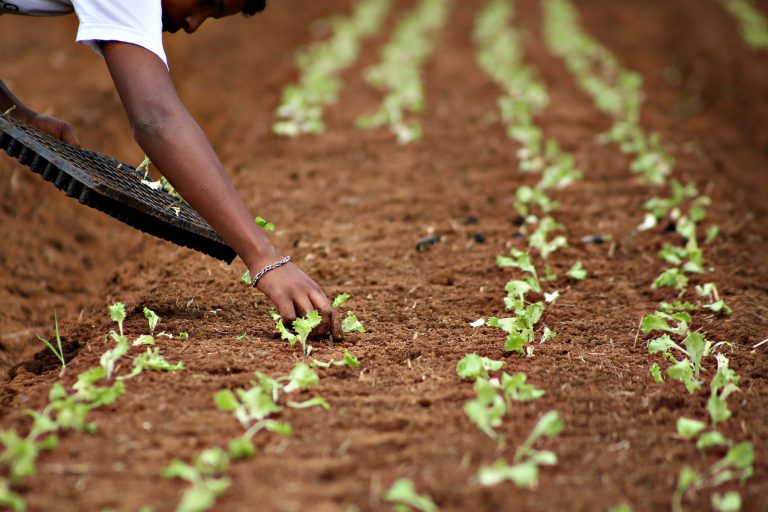 Nova Lei sancionada estimula o empreendedorismo de jovens do campo