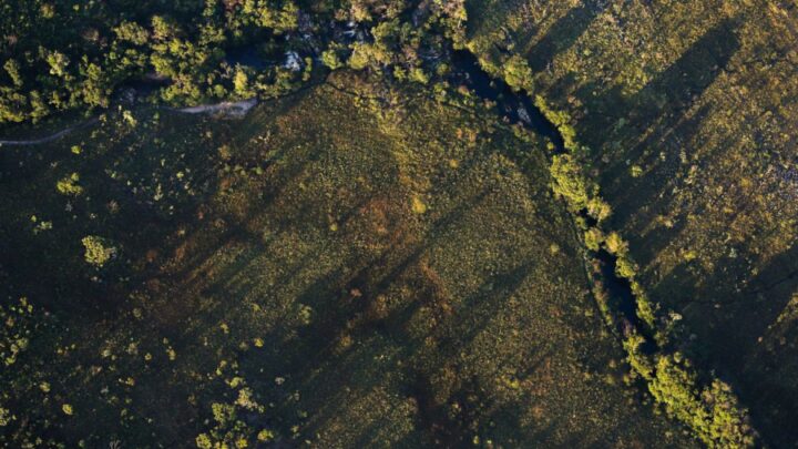 Desmatamento do Cerrado ameaça segurança hídrica de todo o Brasil