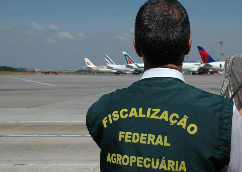 Auditores Fiscais Federais Agropecuários particiam hoje do Dia Nacional da Mobilização