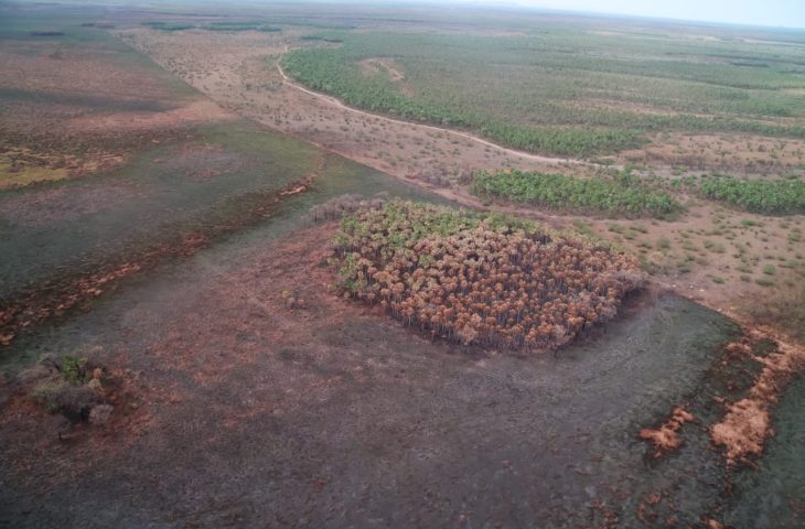 Bombeiros de MS reforçam equipes de combate a incêndios em quatro municípios do Pantanal