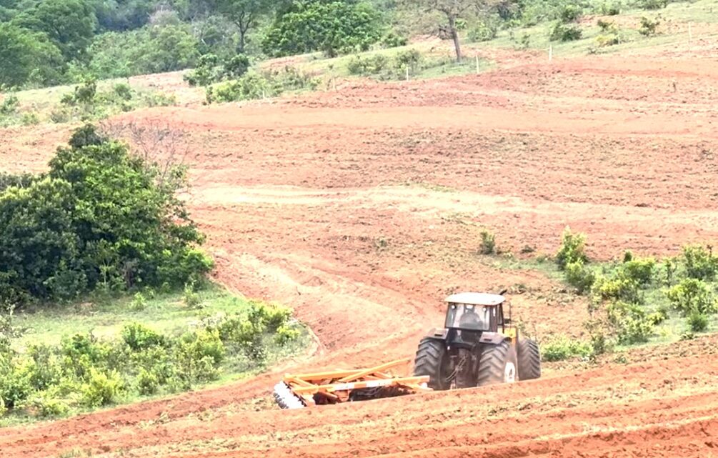 Projeto busca a conservação ambiental e desenvolvimento sustentável no Cerrado do MS