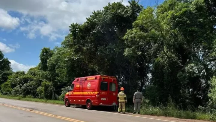 Mãe e filha são encontradas mortas dentro de carro em rodovia gaúcha