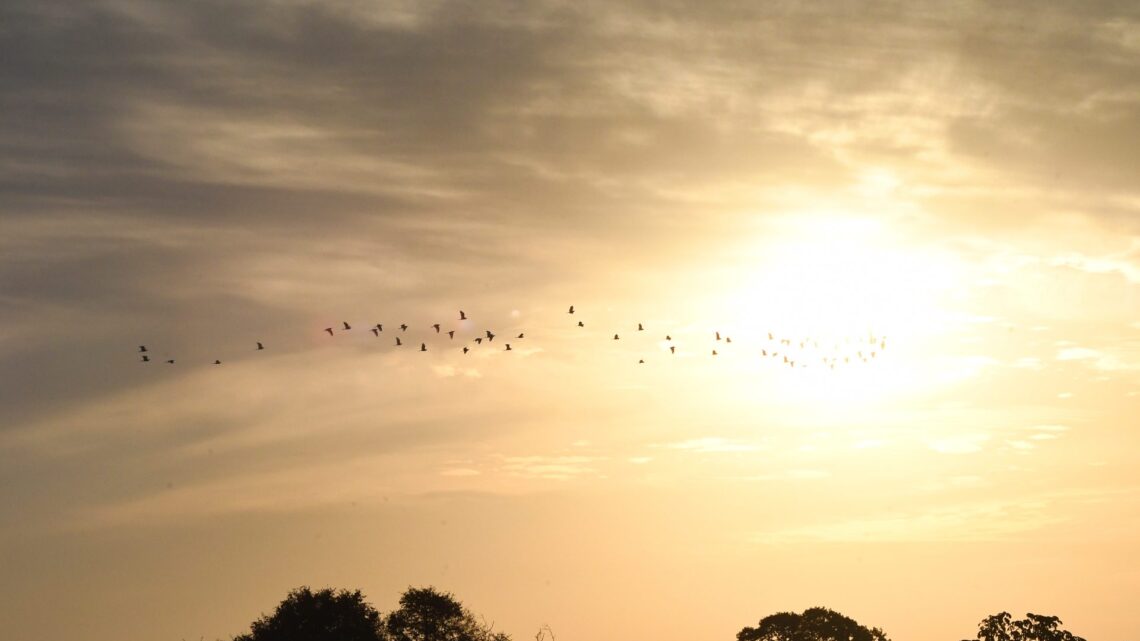 Previsão de sol e possibilidade de chuvas para este sábado em todo o Estado