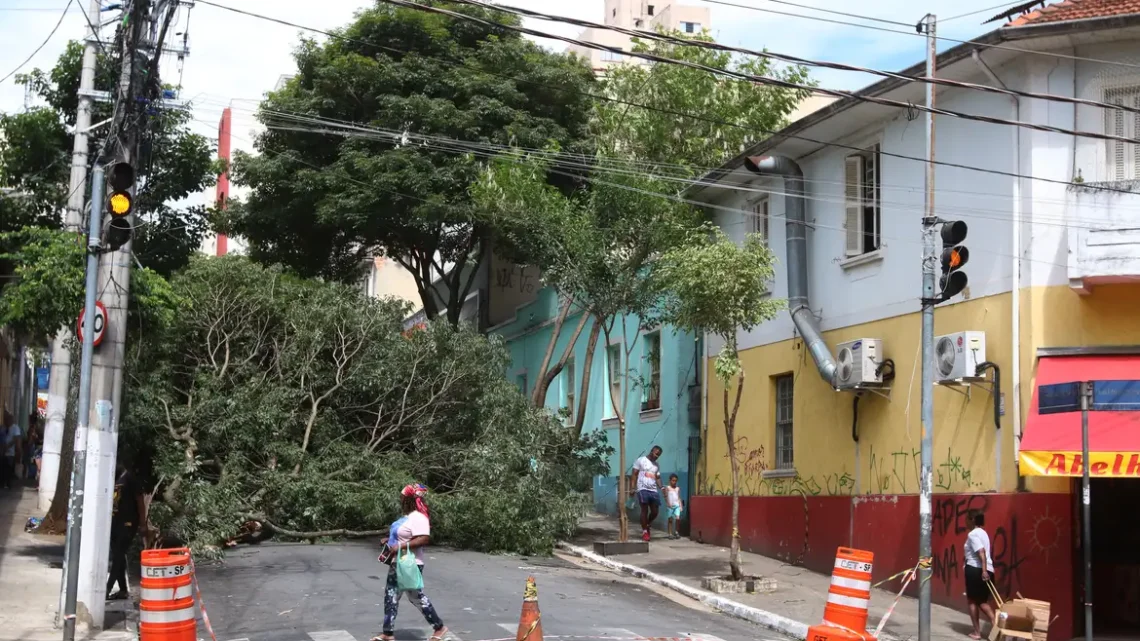 Homem morre após ser atingido por queda de árvore durante temporal