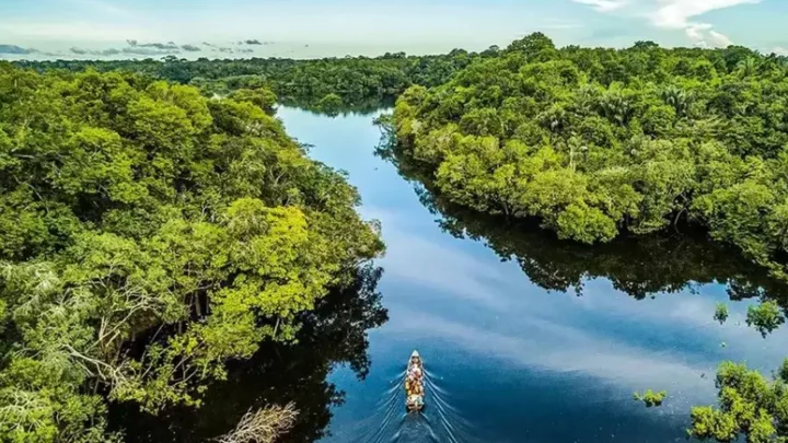 Após 4 anos paralisado, Fundo Amazônia alcança recorde de doações em 2023