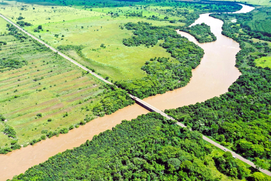 Arauco realiza processo seletivo em Inocência (MS) no dia 16 de fevereiro