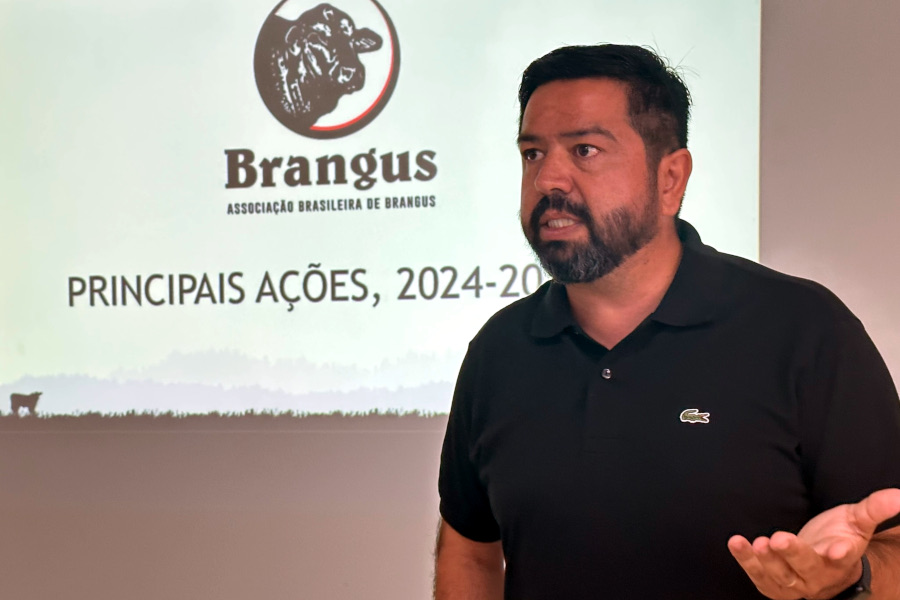 Paraná articula grupo de criadores de Brangus