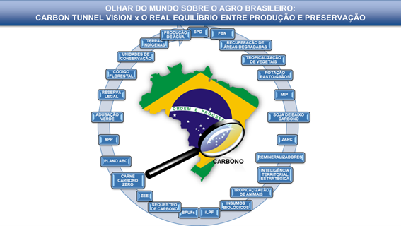 Agricultura Brasileira: Rompendo com a “Carbon Tunnel Vision”