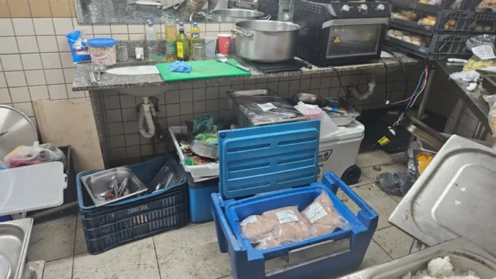 Camarote da Sapucaí é flagrado preparando alimentos no banheiro