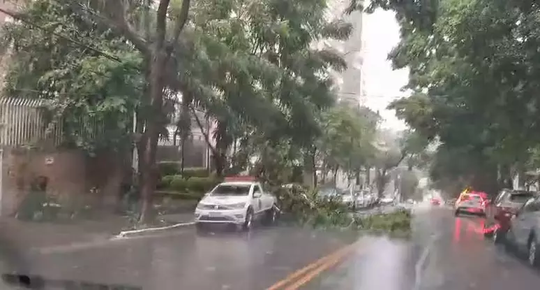 São Paulo tem chuva de granizo, alagamento e queda de árvores neste domingo