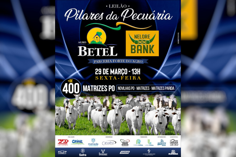 Agro Bank e Agro Betel promovem o Leilão Pilares da Pecuária 2024, com a oferta de matrizes Nelore PO