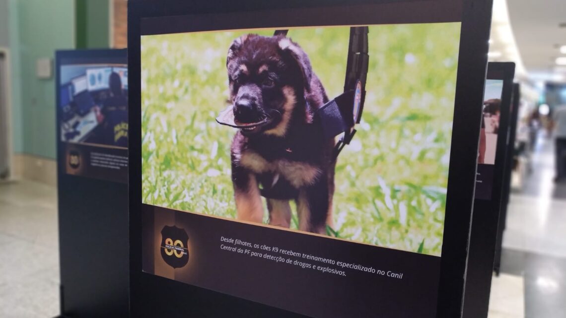 Polícia Federal realiza exposição em comemoração aos seus 80 anos