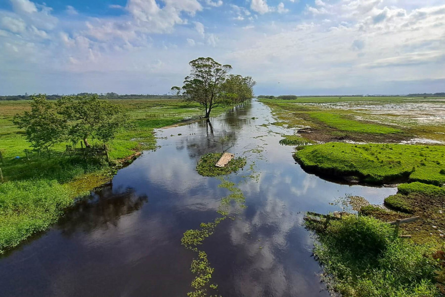 Comitês do Sul de SC alertam para a conscientização e preservação da água