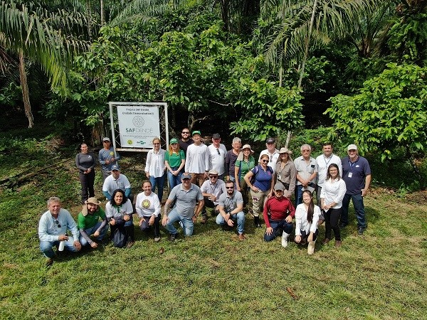 Gestores e equipe técnica da Embrapa Cocais fazem prospecção em sistemas agroflorestais no Pará 